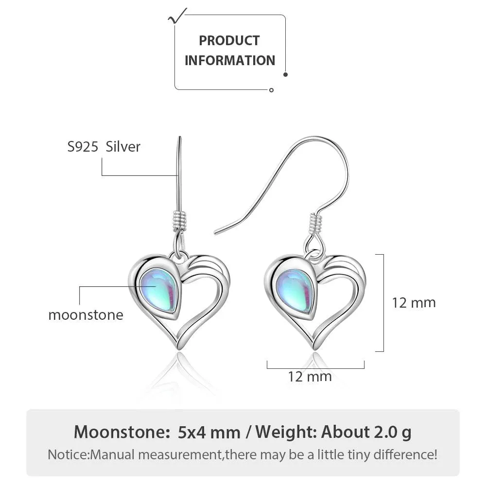 925 Sterling Silver Dangling Earrings