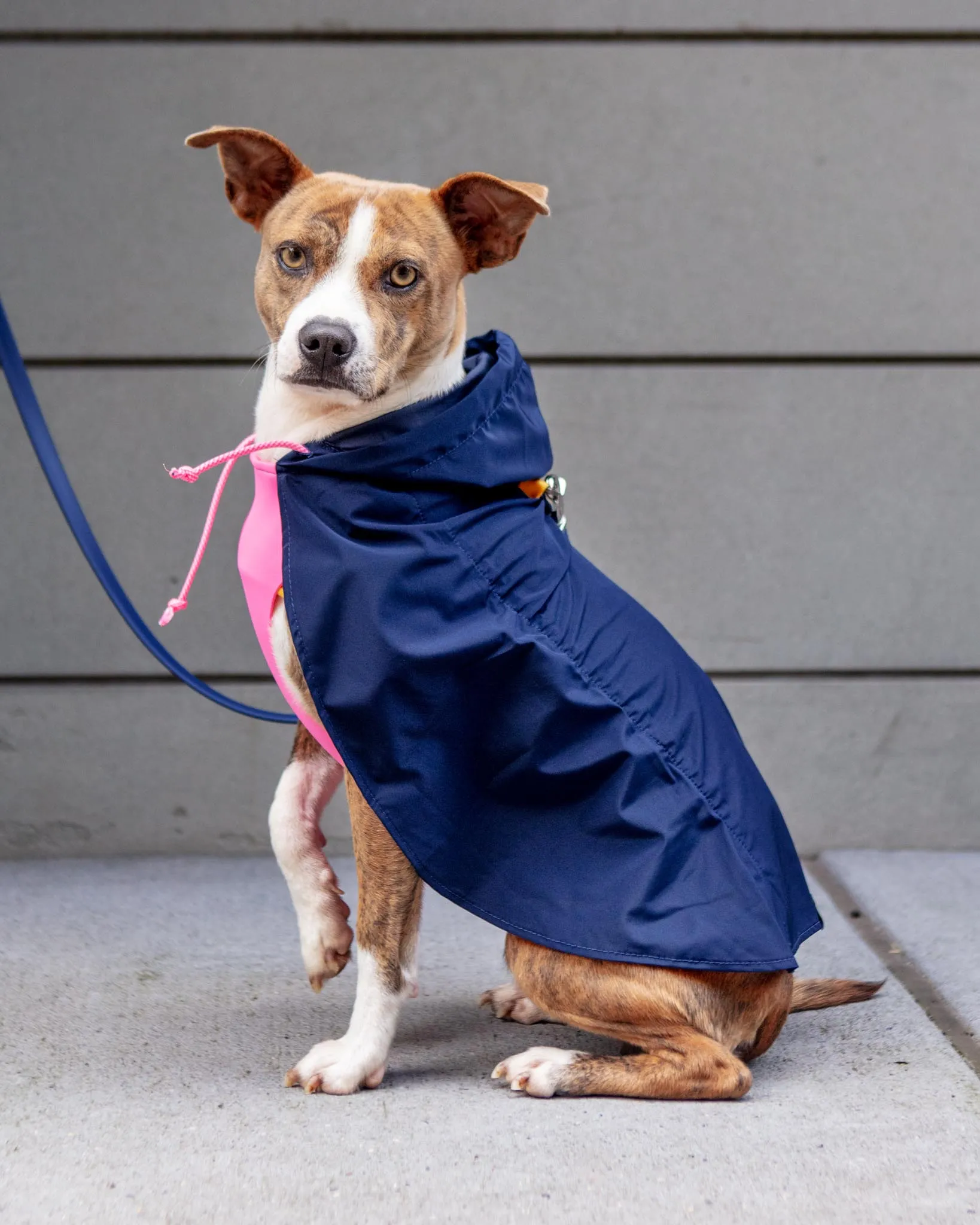 Action Jacket Pull-On Raincoat in Navy   Neon Pink (Made in NYC)