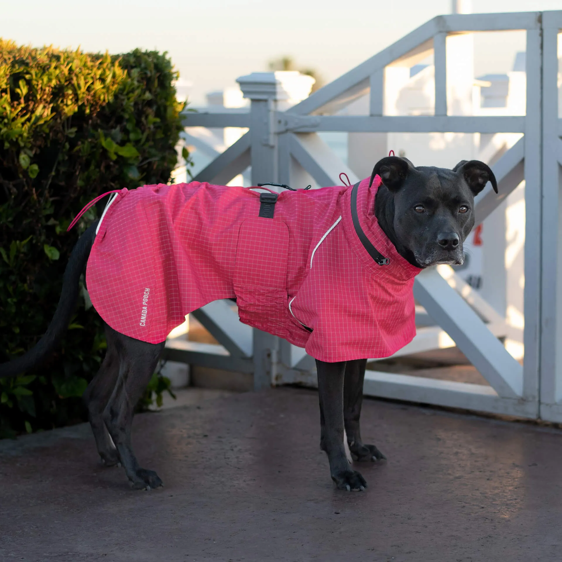 Complete Coverage Raincoat