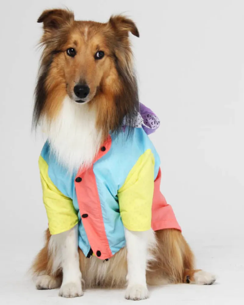 Pastel Water Resistant Dog Raincoat (FINAL SALE)