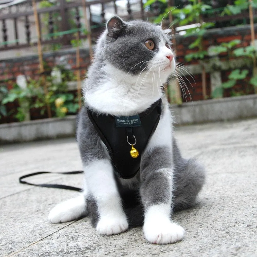 Pet Harness Vest With Bell