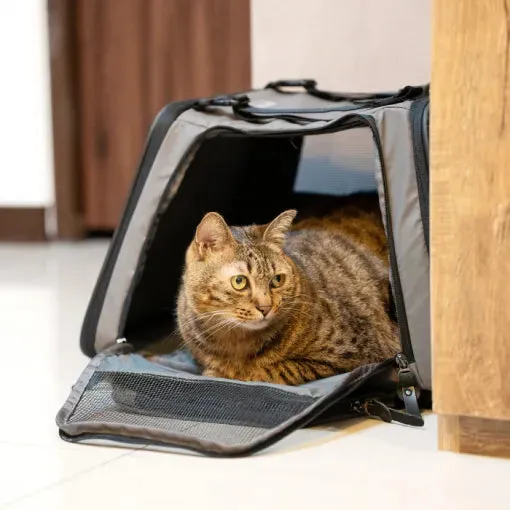 The Cube - Pet Carrier Backpack