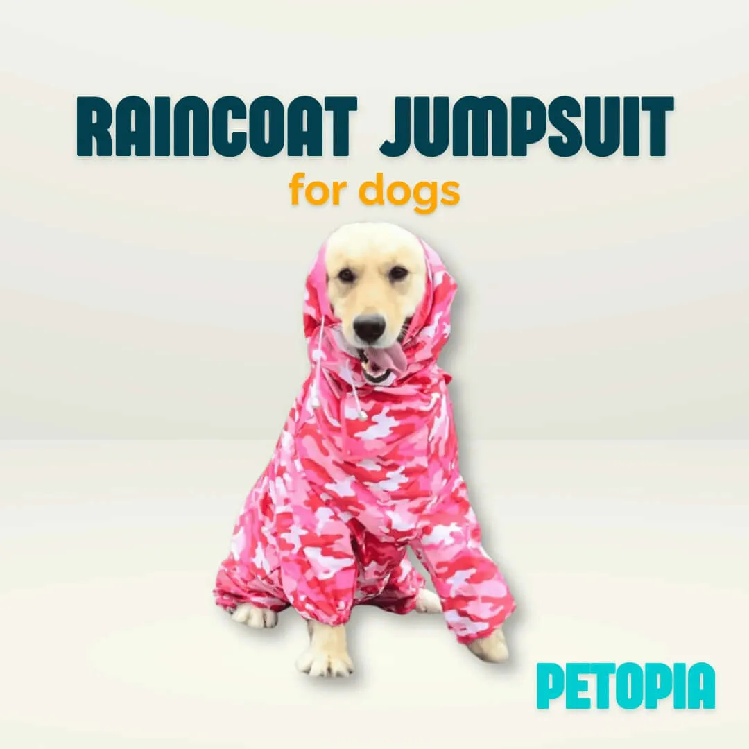 Waterproof Raincoat Jumpsuit for Dogs