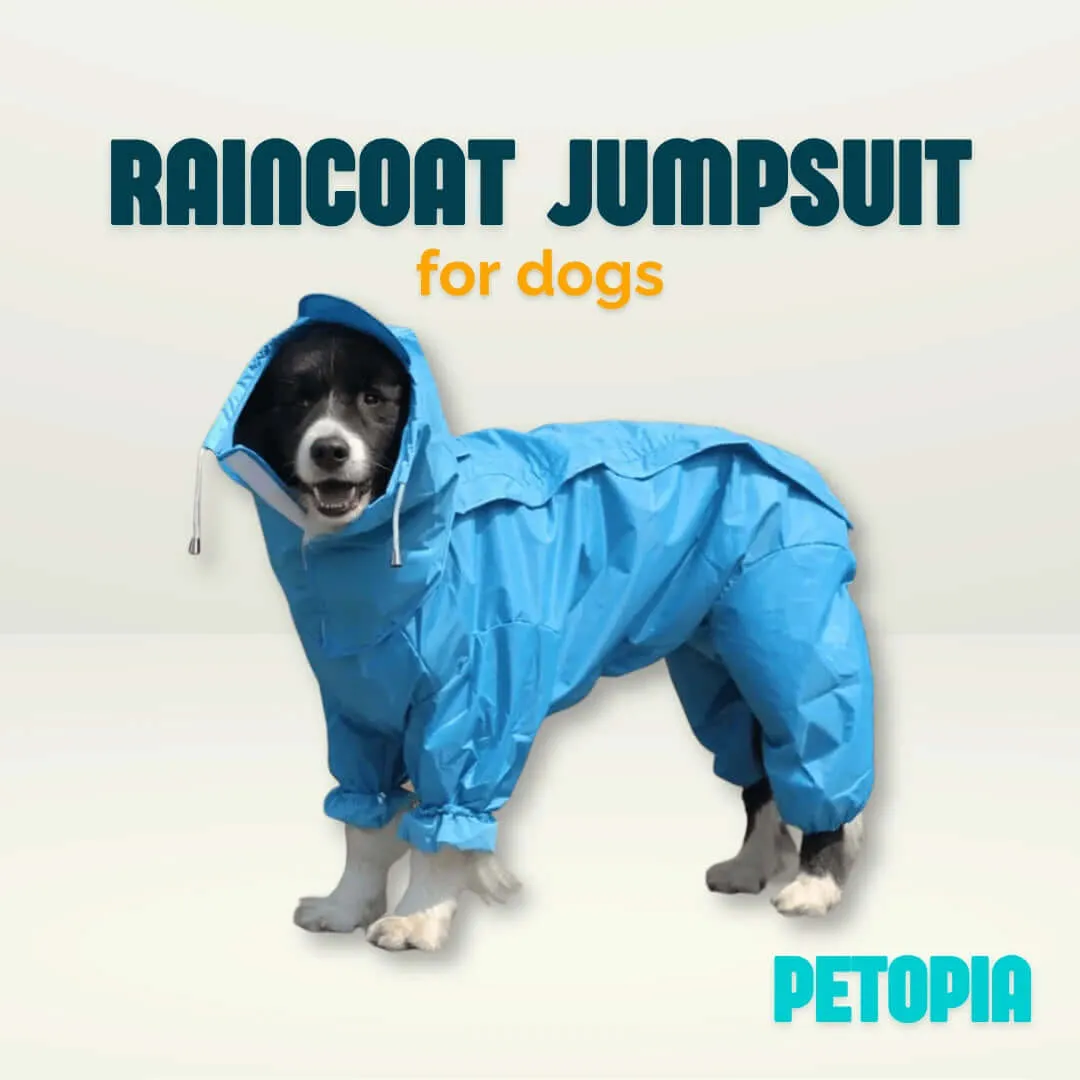 Waterproof Raincoat Jumpsuit for Dogs